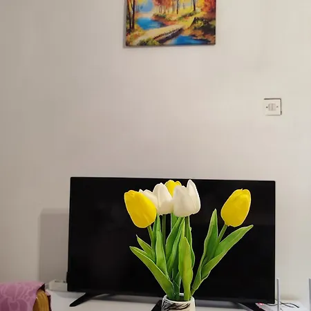 Niceplace Apartment *