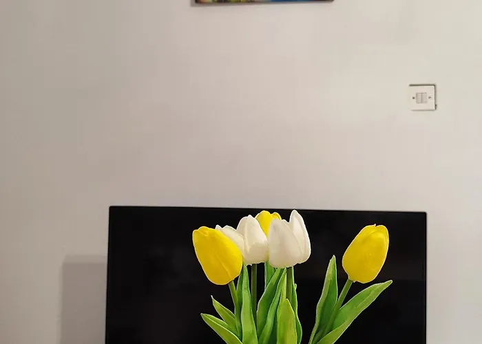 Niceplace Apartamento *